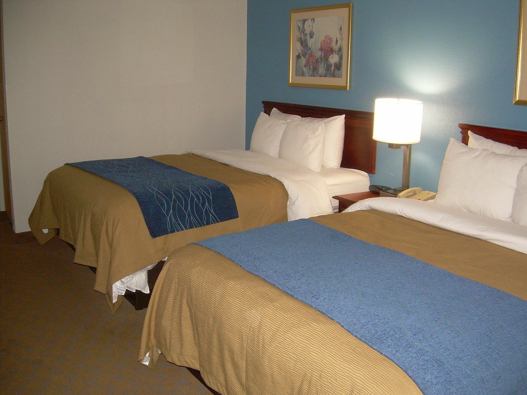 Comfort Inn & Suites Lees Summit - Kansas City Lee’s Summit Dış mekan fotoğraf